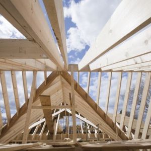 Roof Trusses