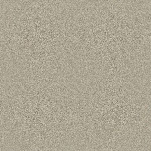 Omega Granite Beige Surf GO46