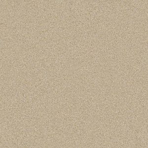 Options Solar Quartzstone Surf TO66