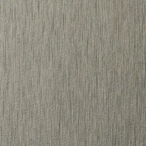 Omega Brushed Bronze T114